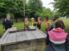 IMG_20240528_102801