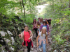 IMG-9f54067b059cbb1a41631ea5b6349940-V