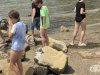IMG-2d46bf1adc806e1cad086652dedaa579-V
