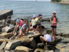 IMG-40326b2d1889696699dbc6b2785052cc-V