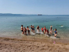 IMG-8d444f35f510ad36ecf78200ed2f8438-V