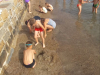 IMG-f858eb084f3476056efe0d8206fdd7b2-V
